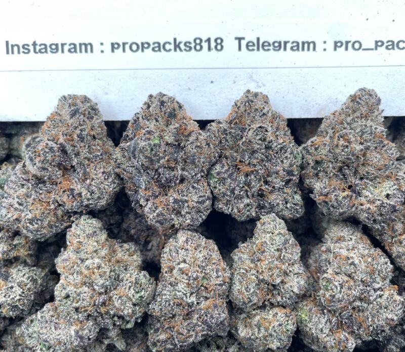 Brainstorm x G13 🧠 #P71 🌪