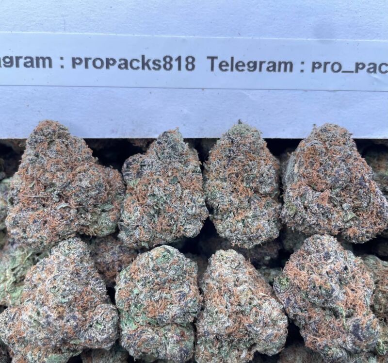 Pink Frosted Donutz 🔮 #P21 ⛽️