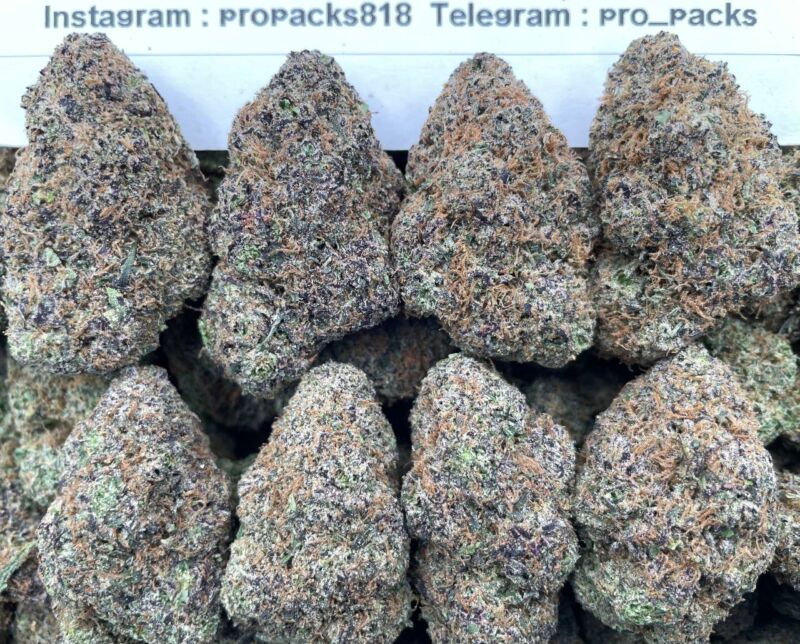 Razzberry Rocket Gelato 🚀 #P87 🍧