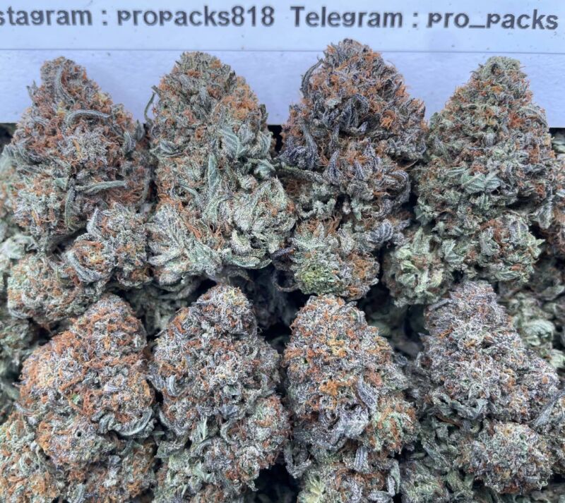 Starburst Bubba ✨ #P24 👑