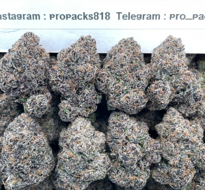 Black Wild BerrieZz 🍇 #P89B 🫐