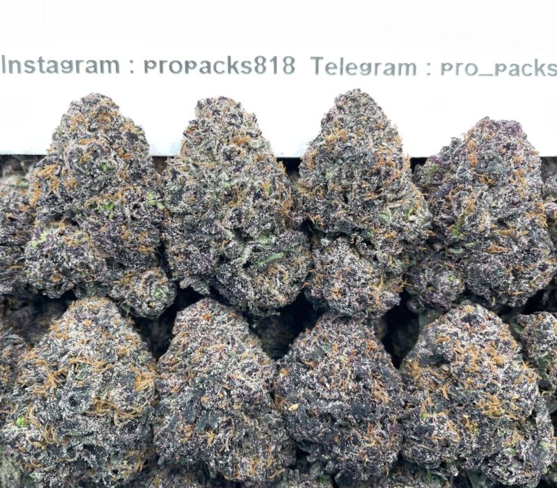 Blueberry MochizZ 🫐 #V43B 🍡