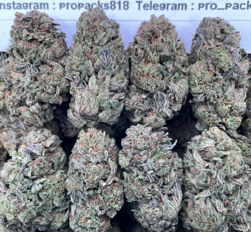 Bubblegum Zkittlez 🍬 #P62B 🍭