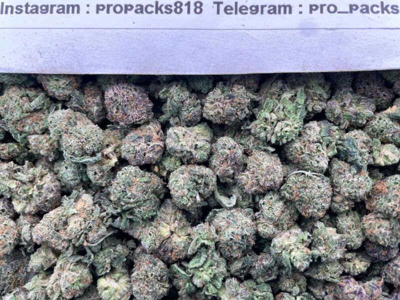 Candy Colada 🍭 #V59C 🌈