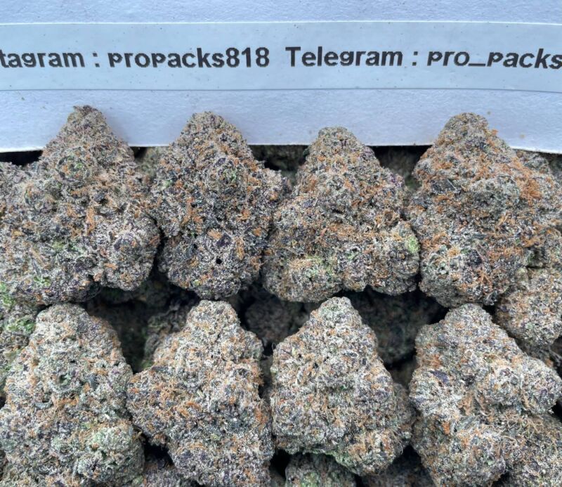 Frosted Cherry DreamZz 🍒 #H53A 😶‍🌫️