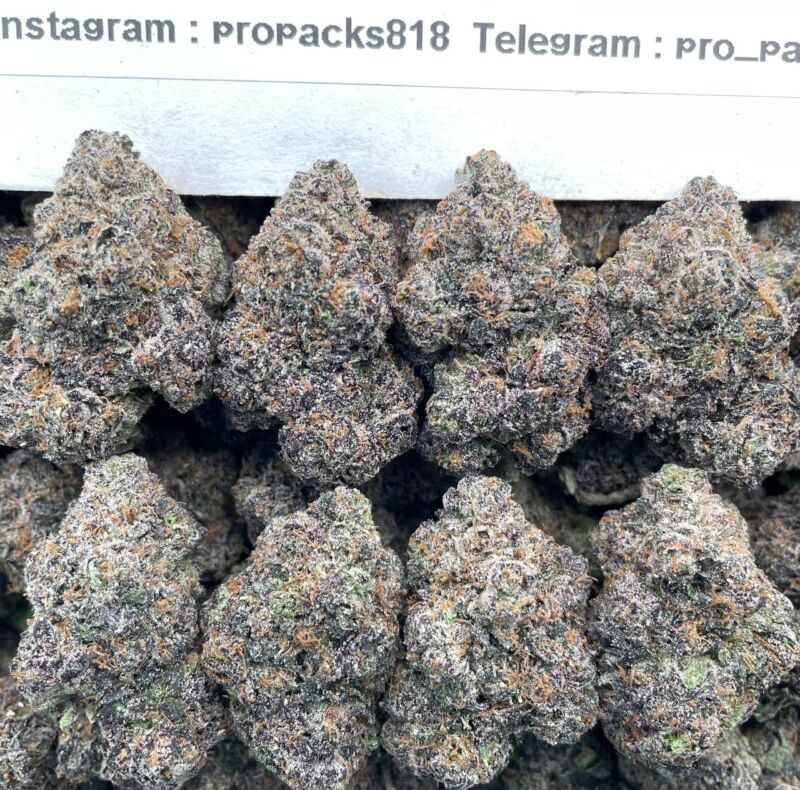 Gassius Gelato ⛽️ #H17B 🍧