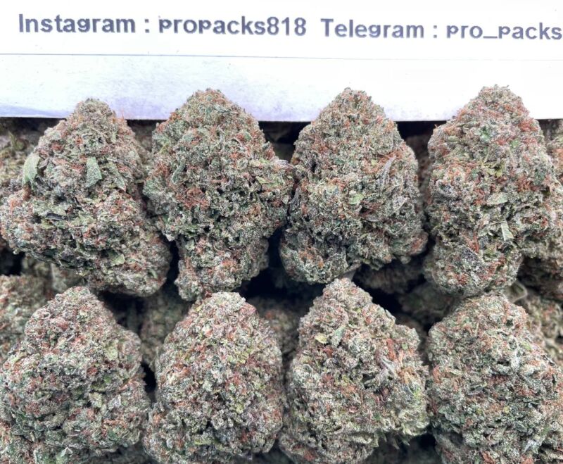 Gelato Gummiez 🍧 #V25A 🧸