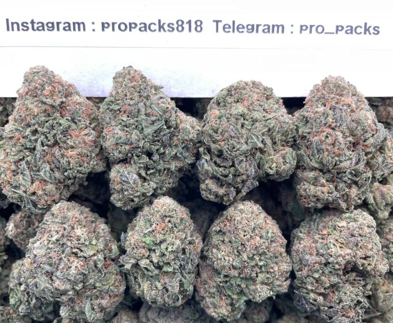 Grape Gas Gelato 🍇 #P75A ⛽️