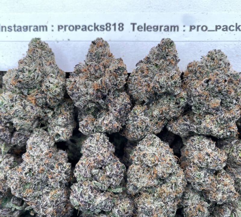 GrapeZz in Zpace 🍇 #H95C 🌌