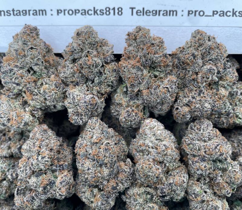 Gumbo Smackerz 🍇 #V57C 🍒