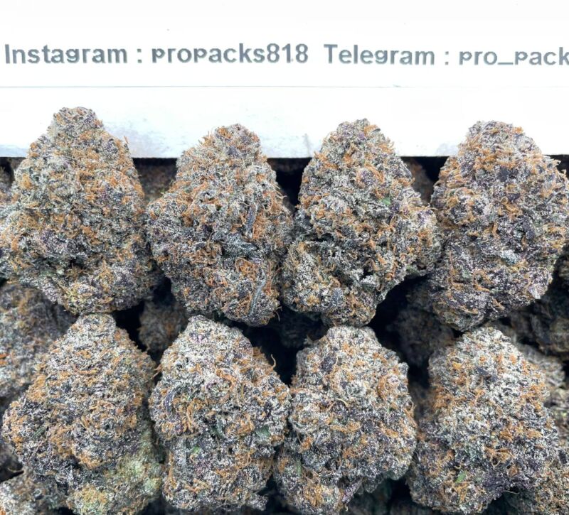 Jet Fuel Grape Gelato 🛩 #V46C 🍧