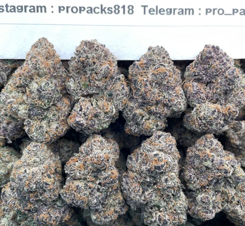 Loud Cherry ClusterZz 🔈 #P10C ☄️