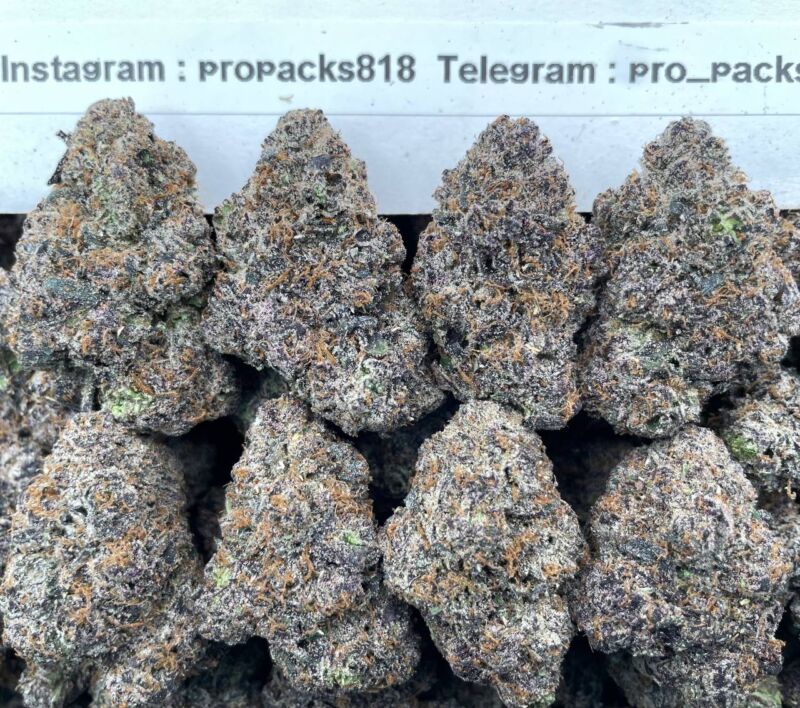 Mochi BerrieZz 🍒 #V77B 🫐