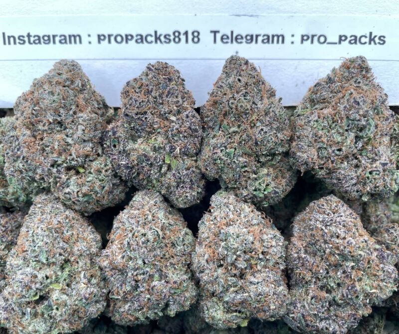 Mochi BlasterZz 🍡 #H58C 🎉