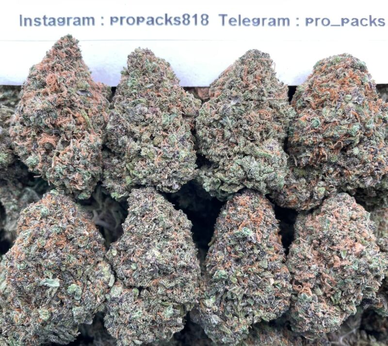 PeacheZz & KremeZ 🍑 #P17A 🥛