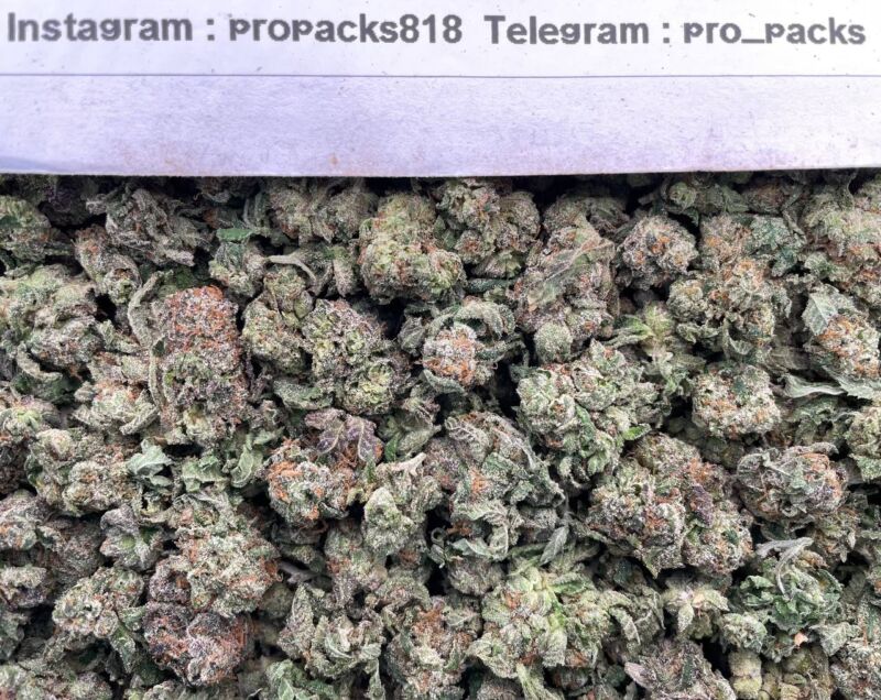Platinum Mini CherrieSs ⚡️ #P99C 👾