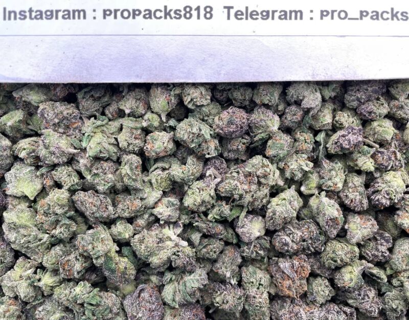 Platinum Mini MochiZz 🍰 #P79C 🧁