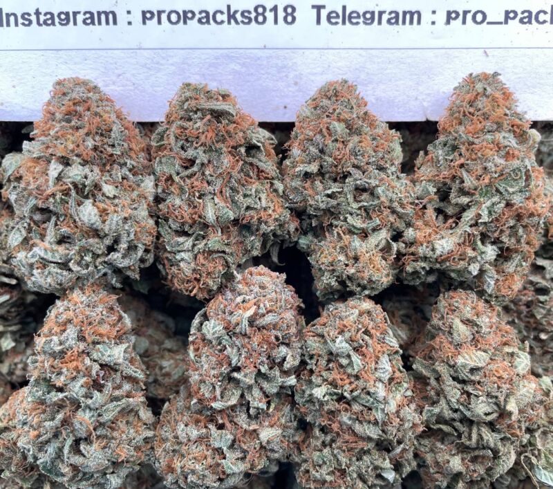 Platinum Super AlienZz ⚡️ #H24A 👾