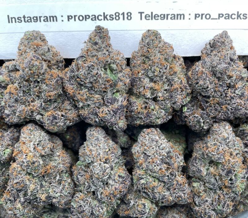 Purple Gelato Lemon BeanZz 🍧 #H95A 🍋‍🟩