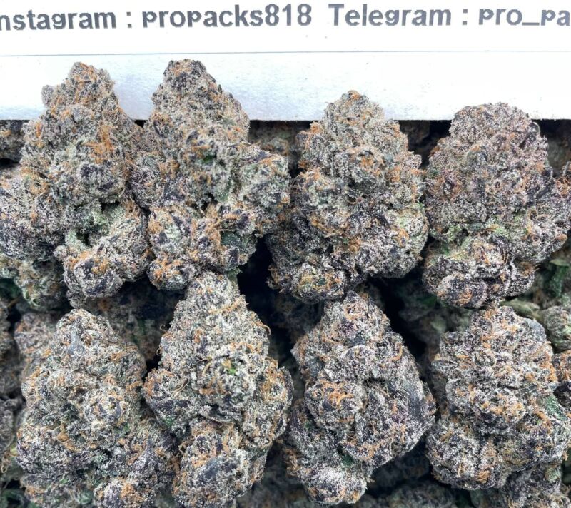 Purple Jolly Rancher 🍭 #V34A 💠
