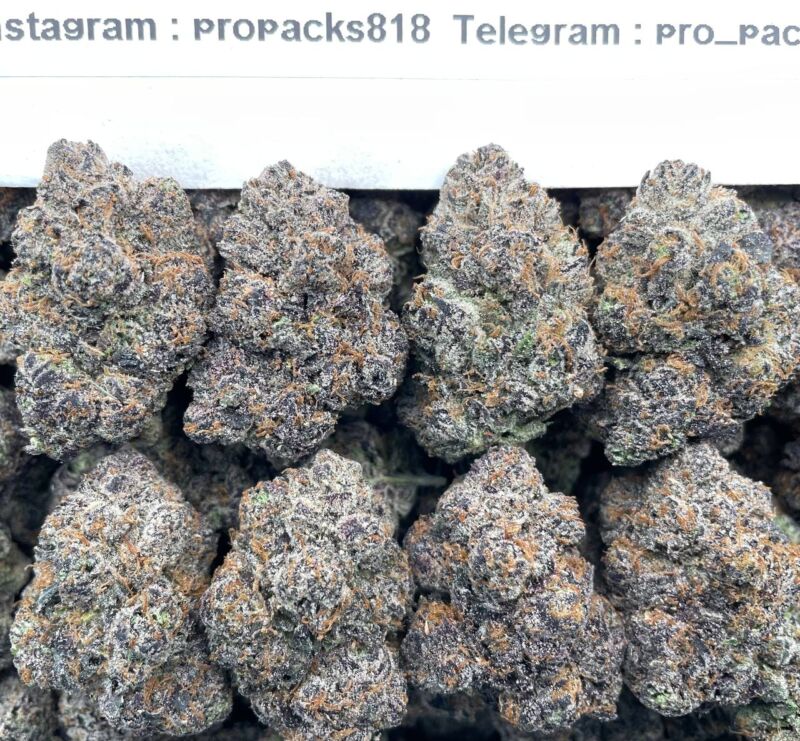 Space GaZz Mochi ☄️ #V54A 🪐