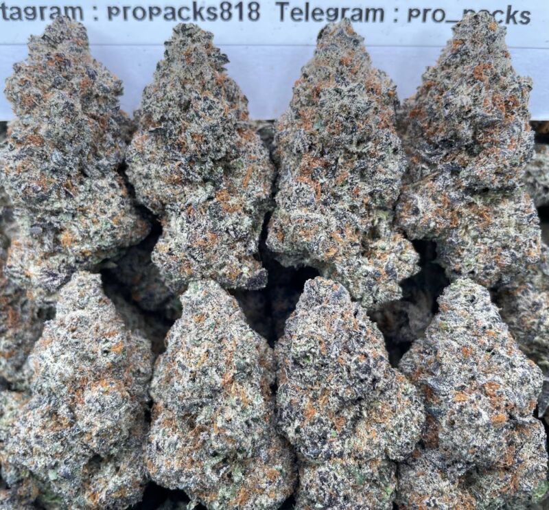 Sticky Ricky 💥 #V63C ⚡️