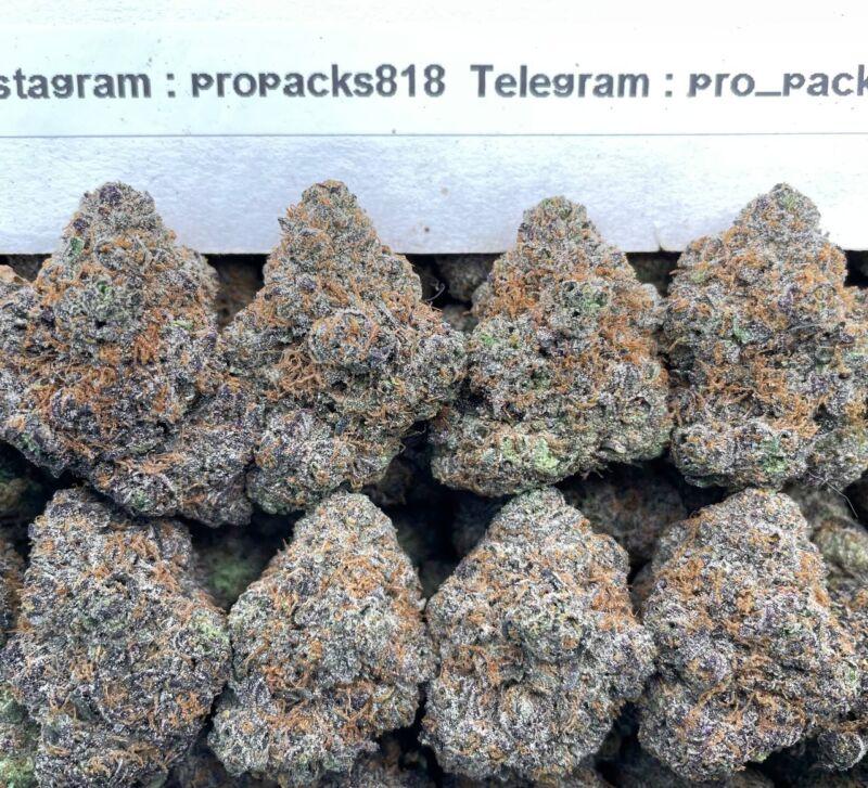 Strawberry Critical 🍓 #H23C 💥