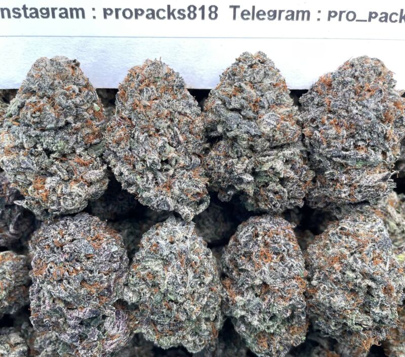 Sugary RuntZz 🧊 #V76A 🍇