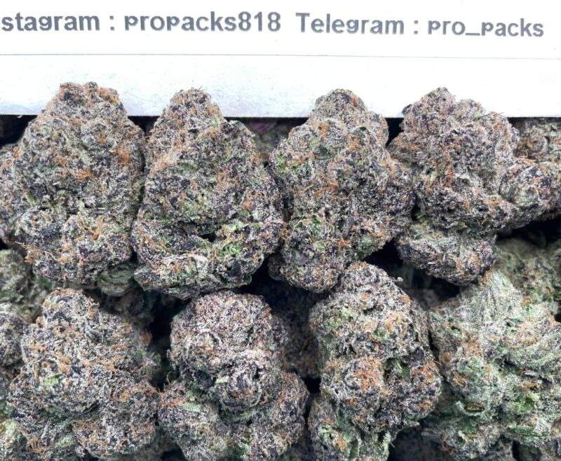 Super Mochi 41 x Zkittlez 🏆 #P40B ✨