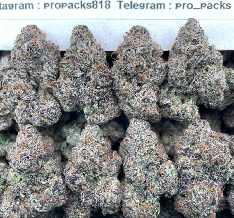 Supreme Hella JellieZz 🍇 #V35B 🍒