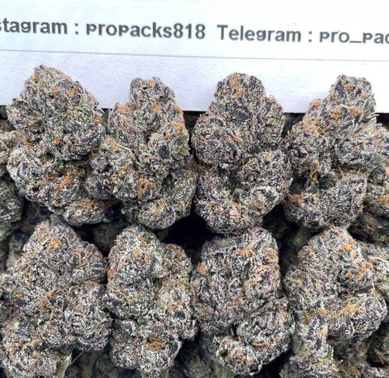 White Razz Gelato 🪽 #H27A 🍧