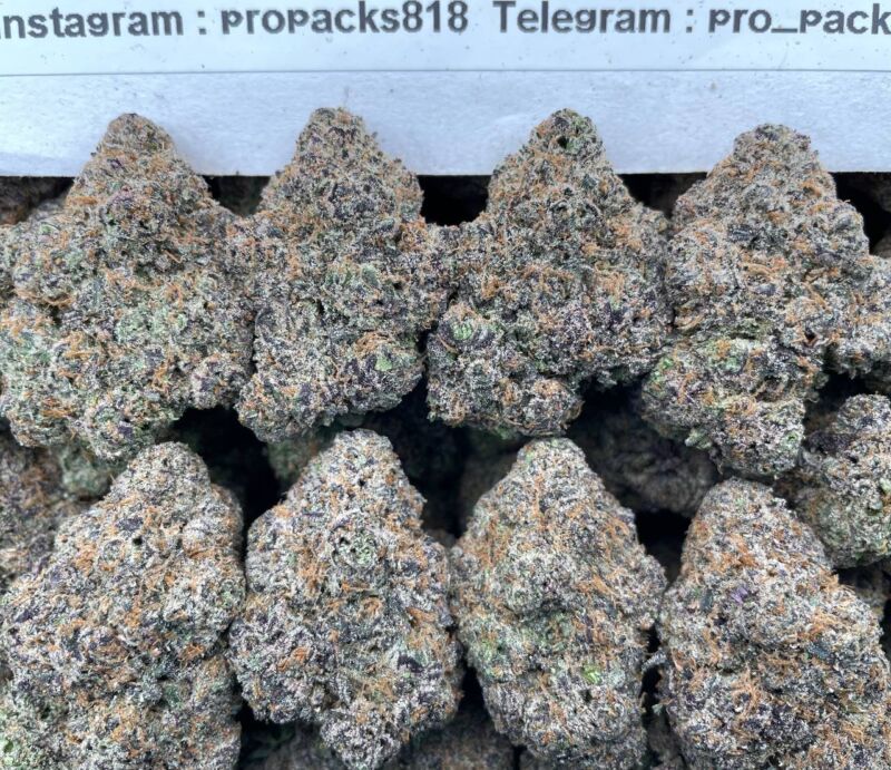 Wild BlackberrieZz 🫐 #H51C 🍇