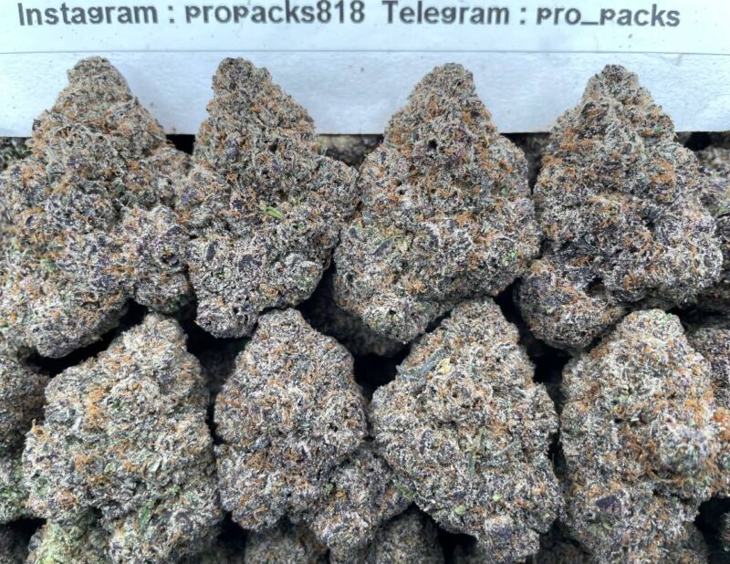 Zuper Mochi 47 x Runtz 🍡 #H43B 🎩