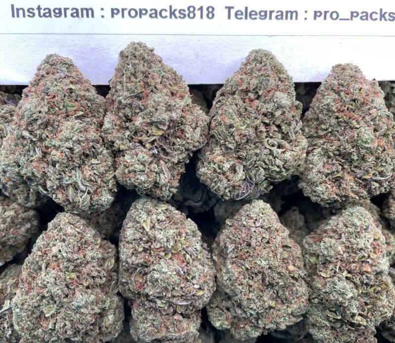 Zweet Inzanity GumboZz ⚡️ #P54C 😵‍💫