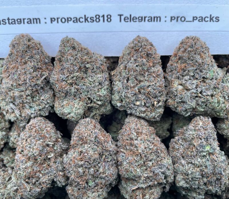 Apple Gelato MochiZz 🍏 #P31B 🍰
