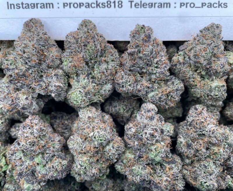 Bando Gelato ❤️‍🩹 #H93A 🍧