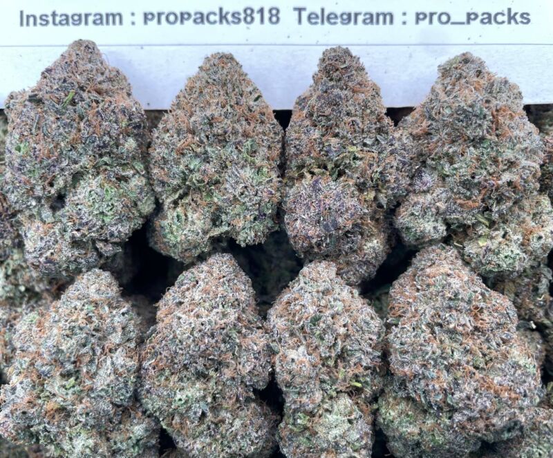 Blackberry MochiZz 🍇 #H48C 🍒