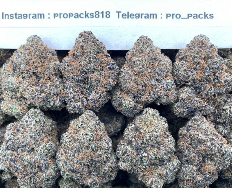 Blueberry CherrieZz 🍒 #P80C 🫐