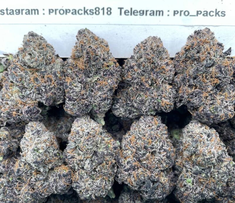FroZen Purple GaSs ⛽️ #V19B 💥