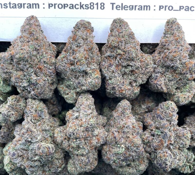 Frosted Sugar Bomb ❄️ #H59A 💥