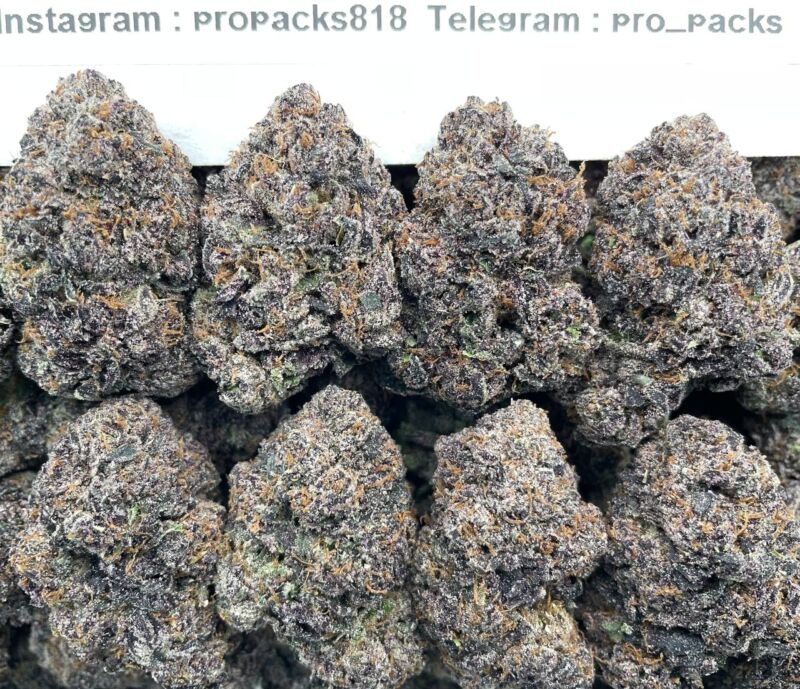 Frosty Mochilato 🥤 #H55B 🍧