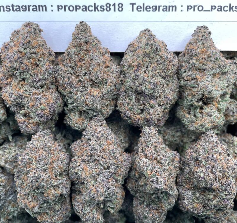 Galactic GelatoZz 🚀 #P84C 🪐
