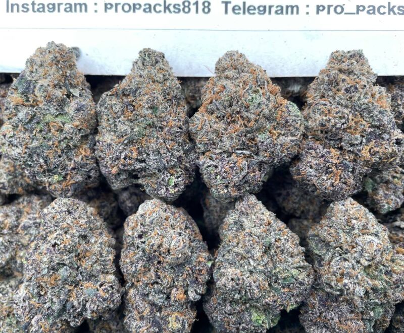 Gelato FuelZz ⛽️ #H64B 💥