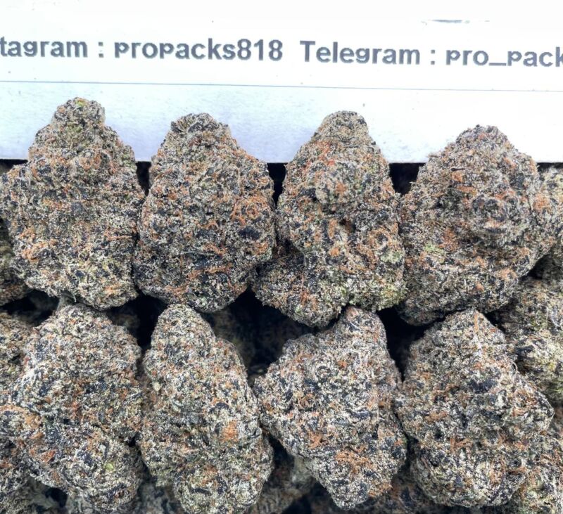 Grape Jelly Gelato 🍇 #P72A 🪼