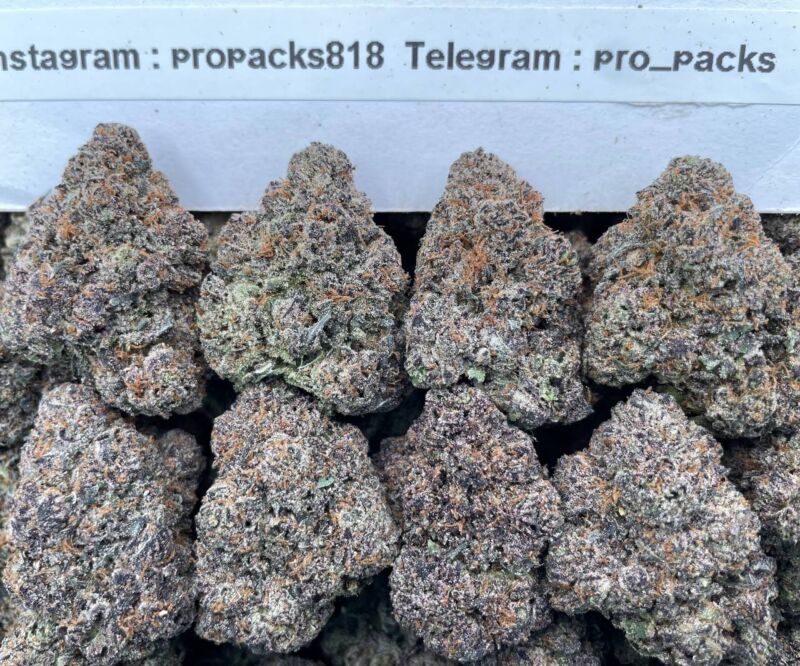 Grape Mochi ZkittleZ 🫐 #V93B 🍇