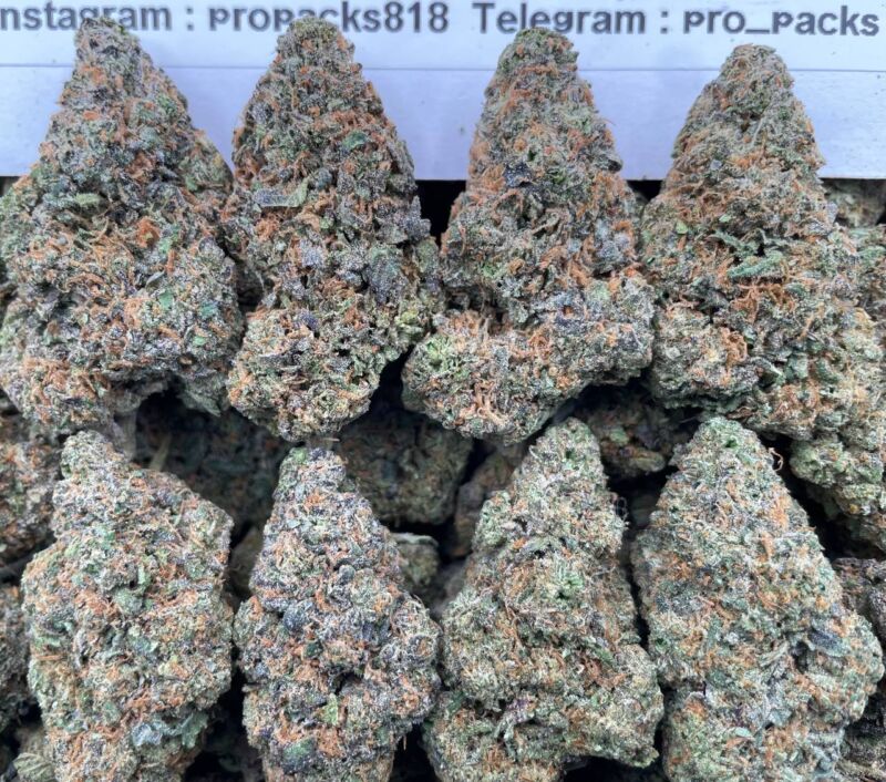 Jealousy Gelato 🍧 #V5B 🍨