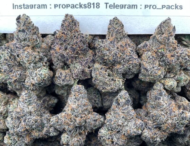Jolly Rancher 💠 #H25B 🍭