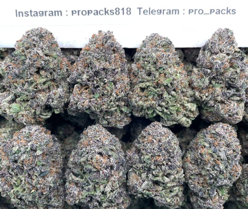 Kandy Gelato ♣️ #P13B 🎩