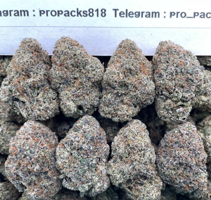 Lemon Cherry Burst 💦 #V3C 🍒