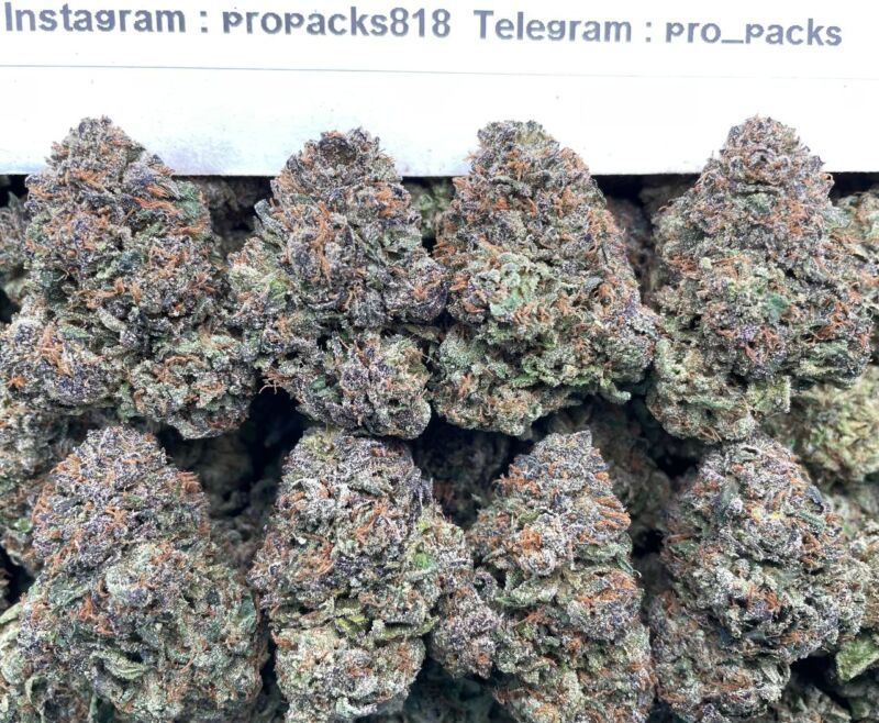 Lemon Cherry Sherbert 🍧 #H94C 🍨